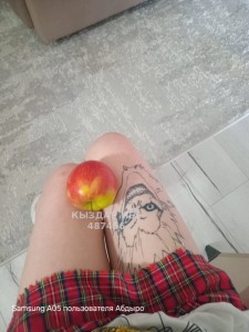 Проститутка Алматы Девушка№487456 ミカサアッカーマン Фотография №3791330