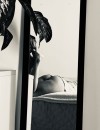 Фотография №3811129