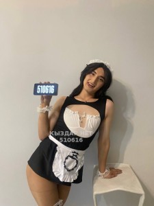Транс Талдыкоргана Транс№510616 Ailin-05 толка на выезд Фотография №3820756