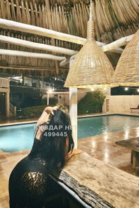 Проститутка Шымкента Анкета №499445 Фотография №3841581 Проститутка Шымкента Анкета №499445 Фотография №3841581