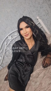 Транс Шымкента Транс№512323 Азали Фотография №3846025