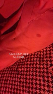 Жиголо Костаная Парень№518258 Даня Фотография №3866495